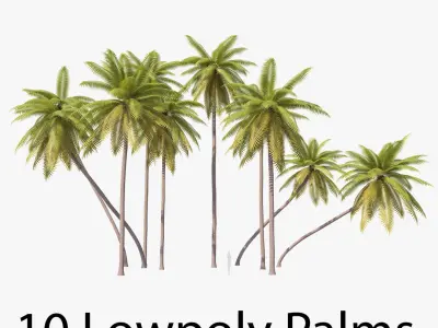 Palms Lowpoly Set 01 with LODs 3D model