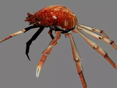 CRAB LOW POLY spider with long legs 3D model