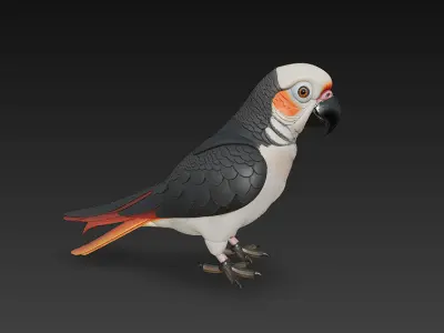 Parrot Realistic 3D Model Basic - Low Poly Realistic Low-poly 3D model
