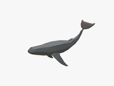 Whale low poly Low-poly 3D model