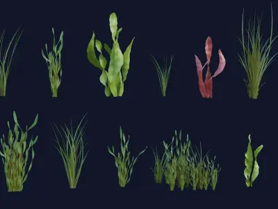 Underwater Grass Pack 3D model
