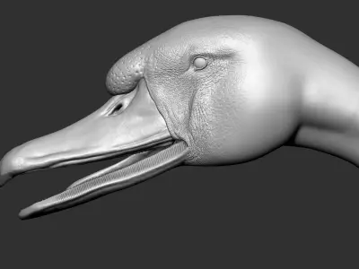  Swan VFX Zbrush Sculpture digitale 