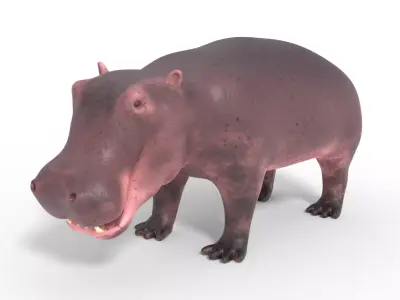 3D Hippopotamus Model Low-poly 3D model