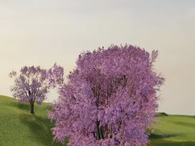 Cherry Blossom Village 3D model