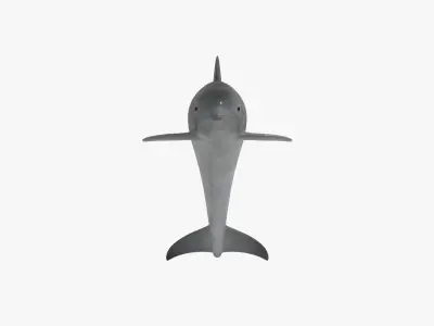 Dolphin sea ocean animal 3d model Low-poly 3D model