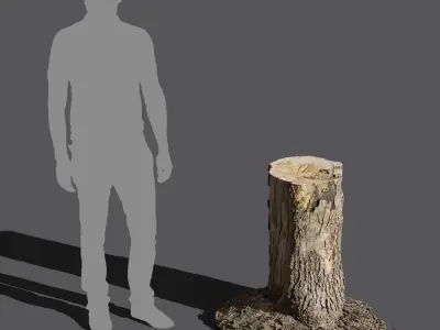  Medium Cut Conifer Stump Model 