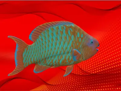Fish Animation 3d Model Low-poly 3D model purchase