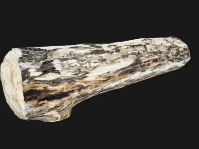 Mottled tree trunk wood 3d scan highpoly 3D model