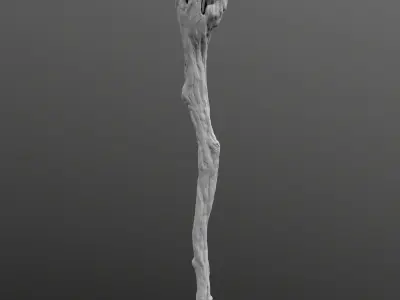 Magic Wand High Poly model 3D model