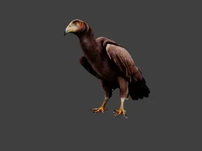 Vulture Low-poly 3D model purchase