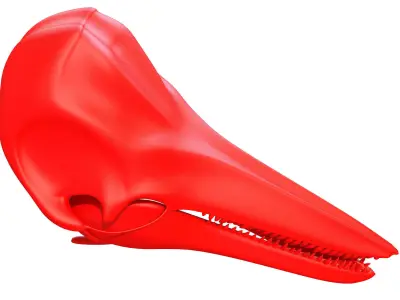 Printable Dolphin Skull 3D model