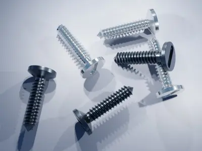 Stainless Steel Screw 3D model