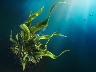 Seaweed Animated 3D model