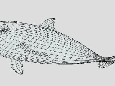 Low Poly Baby Dolphin Low-poly 3D model