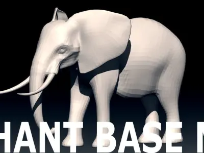 Elephant Base Mesh from Valeanu Andrei Low-poly 3D model