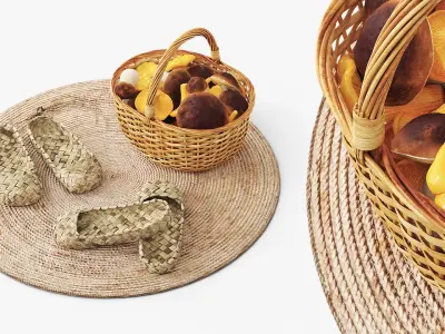 Two Pairs of Bast Shoes and Rustic Mushroom Basket 3D model