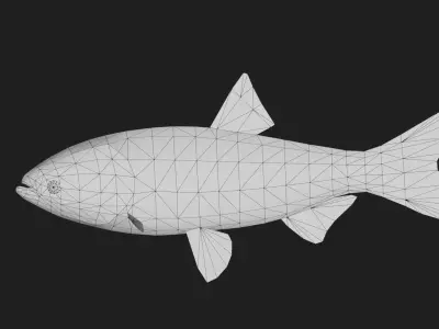 Carpfish Low-poly 3D model
