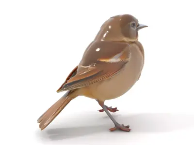 Golden Feathered Bird model pack Low-poly 3D model