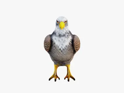 Eagle Free 3D model