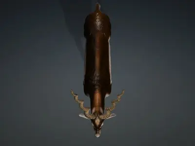 antilope 3d animal with motion Free 3D model