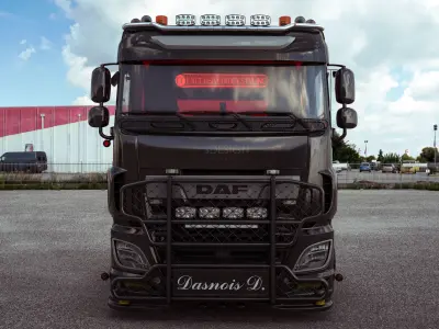 Daf Bullbar 3D model