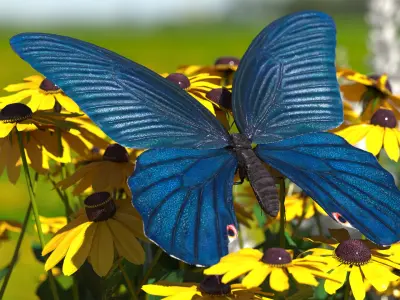 Animated Papilio Butterfly Flapping Wings Rigged for Cinema 4D 3D model