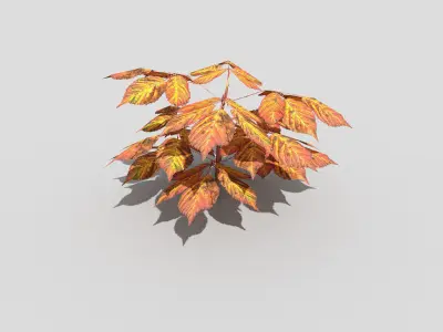 Plant with orange leaves Low-poly 3D model