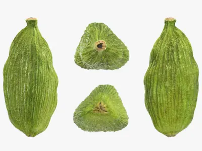Green Cardamom Collection 3D model