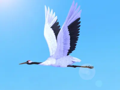crane 3D model get
