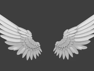 Angel Wings 3D model buy