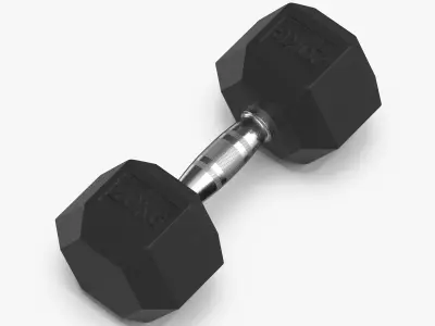 Rubber Dumbbell 20kg 3D model
