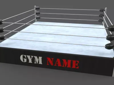 PBR Modular Professional Wrestling Rings 20ftx20ft Low-poly 3D model