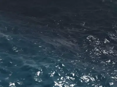 sea ocean aniamtion river lake water 3D model