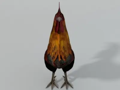 Rooster Low-poly 3D model purchase