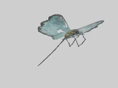 Glasswing Butterfly feeding model Low-poly 3D model