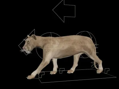 3DS Max Lion Rigged Low-poly 3D model
