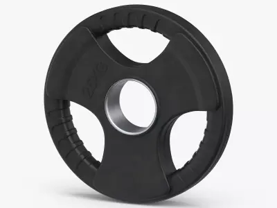 Weight Plate 2 5 KG 3D model