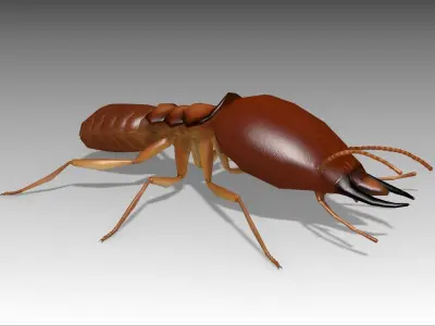Termite ant Low-poly 3D model