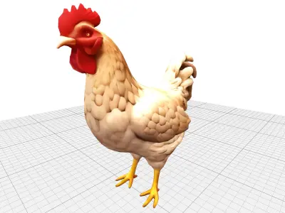 Chicken Lowpoly Low-poly 3D model