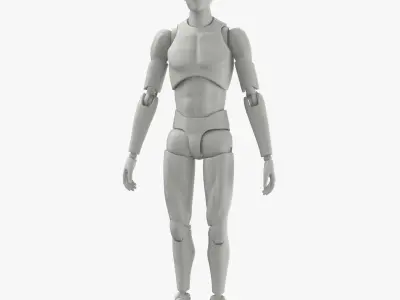 Male Mannequin Rigged 3D model