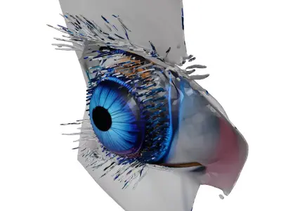 Cybernetic Eye 3D Model 3D model