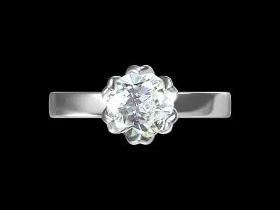 Wedding Ring  3D print model 94