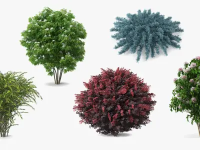  Bushes Collection 4 