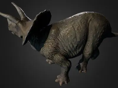 Triceratops Photogrammetry Free 3D model