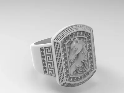 ANILLO CABALLO  3D print model