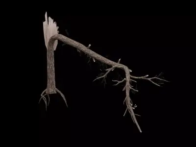 Realistic Snag Tree Low-poly 3D model purchase