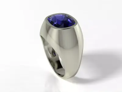 Cushion ring  3D print model