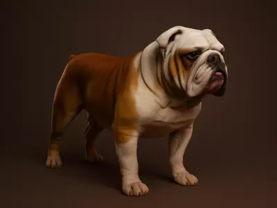 English Bulldog DOG 3D MODEL 3D model