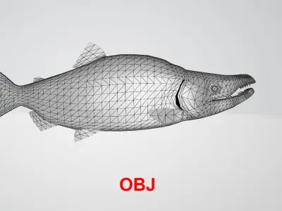 Salmon low poly fish 3D model