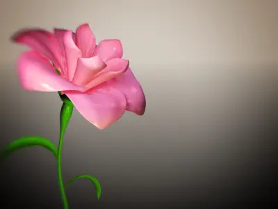 Animated Flower Blooming Flower 3D model purchase